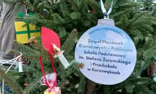 Zdjęcie do &bdquo;Nasza choinka&rdquo;