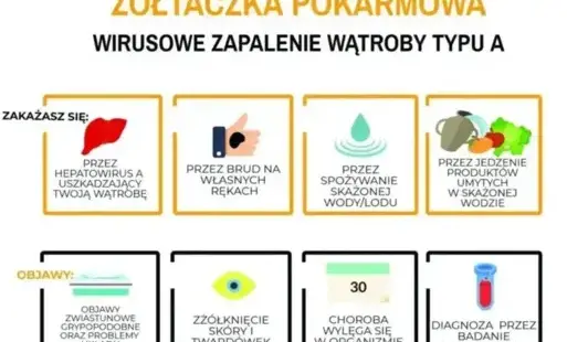 wzw